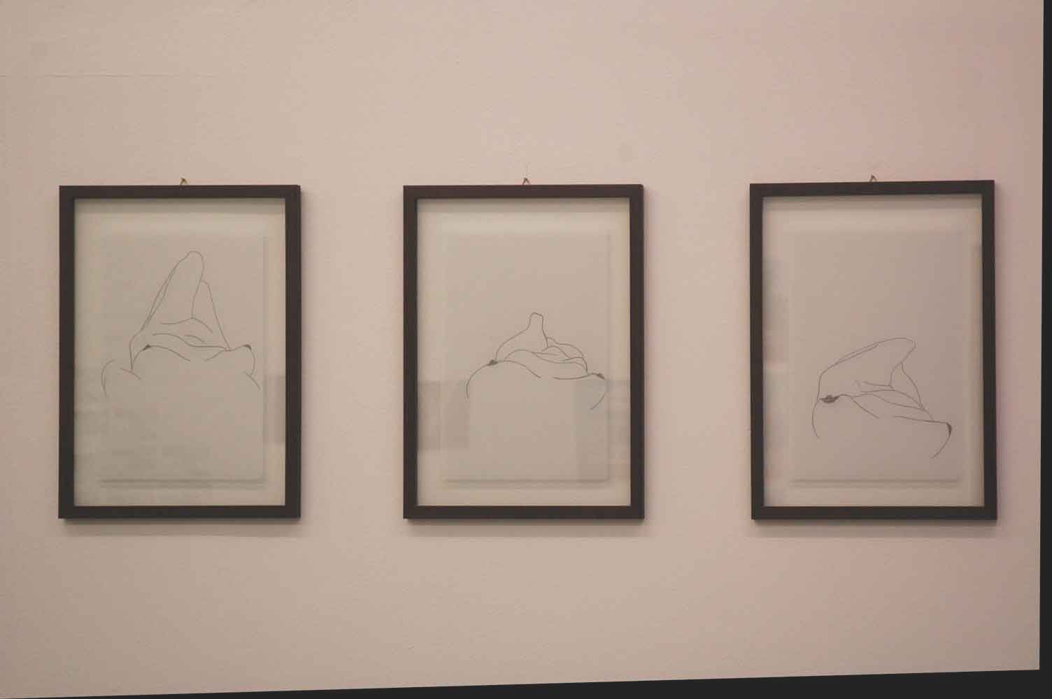 Un nu I, Un nu II, Un Nu III